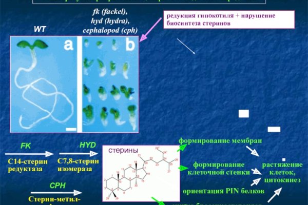 Кракен официальный сайт