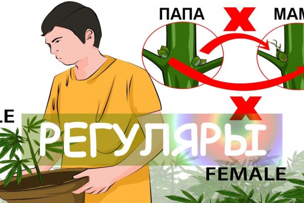Ссылка кракен зеркало тор