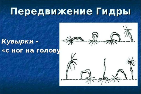 Kraken ссылка kraken link24 info